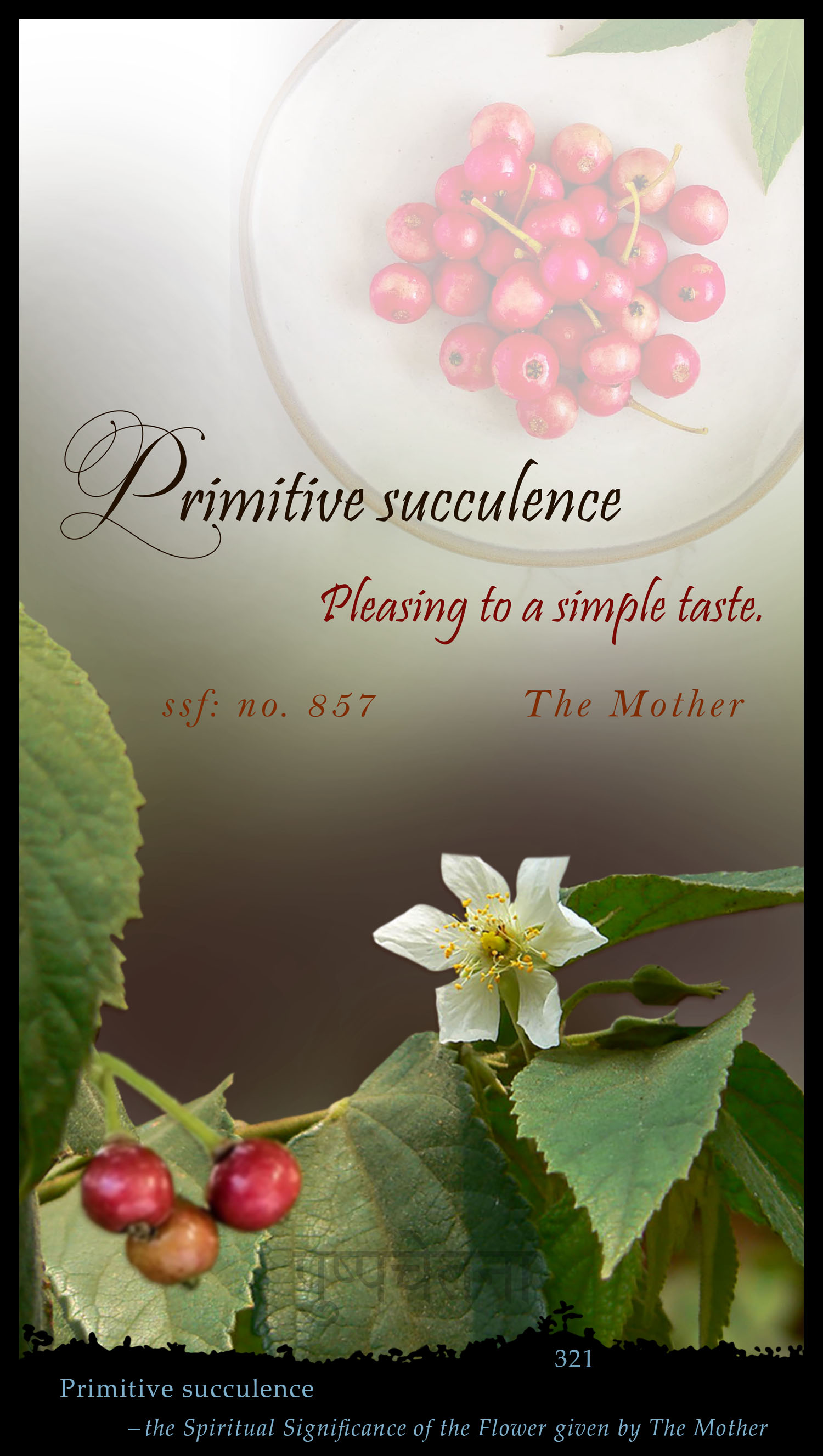 Primitive Succulence